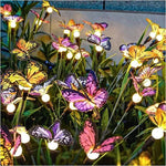 Papillon