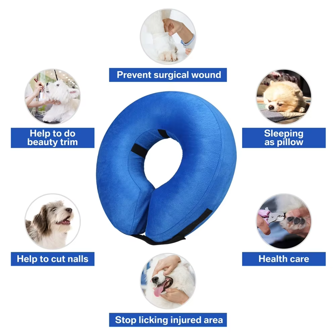 Collier gonflable sécurisé pour chien/chat, anneau protecteur anti-léchage après chirurgie.