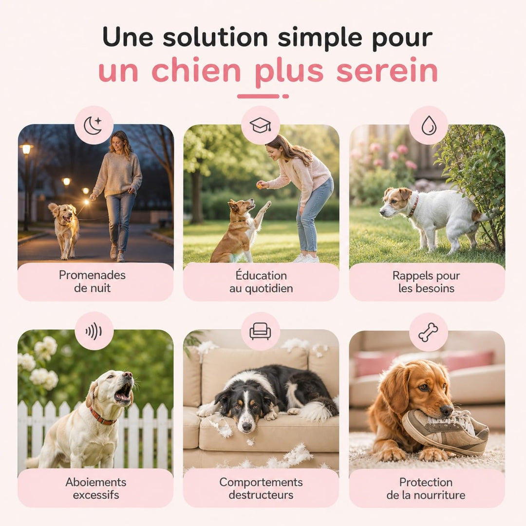 Technologie ultrasonique pour un dressage anti-aboiement efficace et non invasif pour chiens.