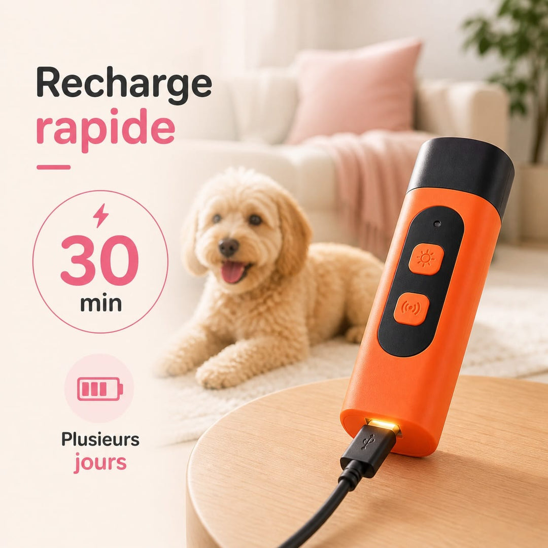 Contrôleur d'aboiements ultrasonique. Appareil portable pour dressage doux et comportemental du chien.