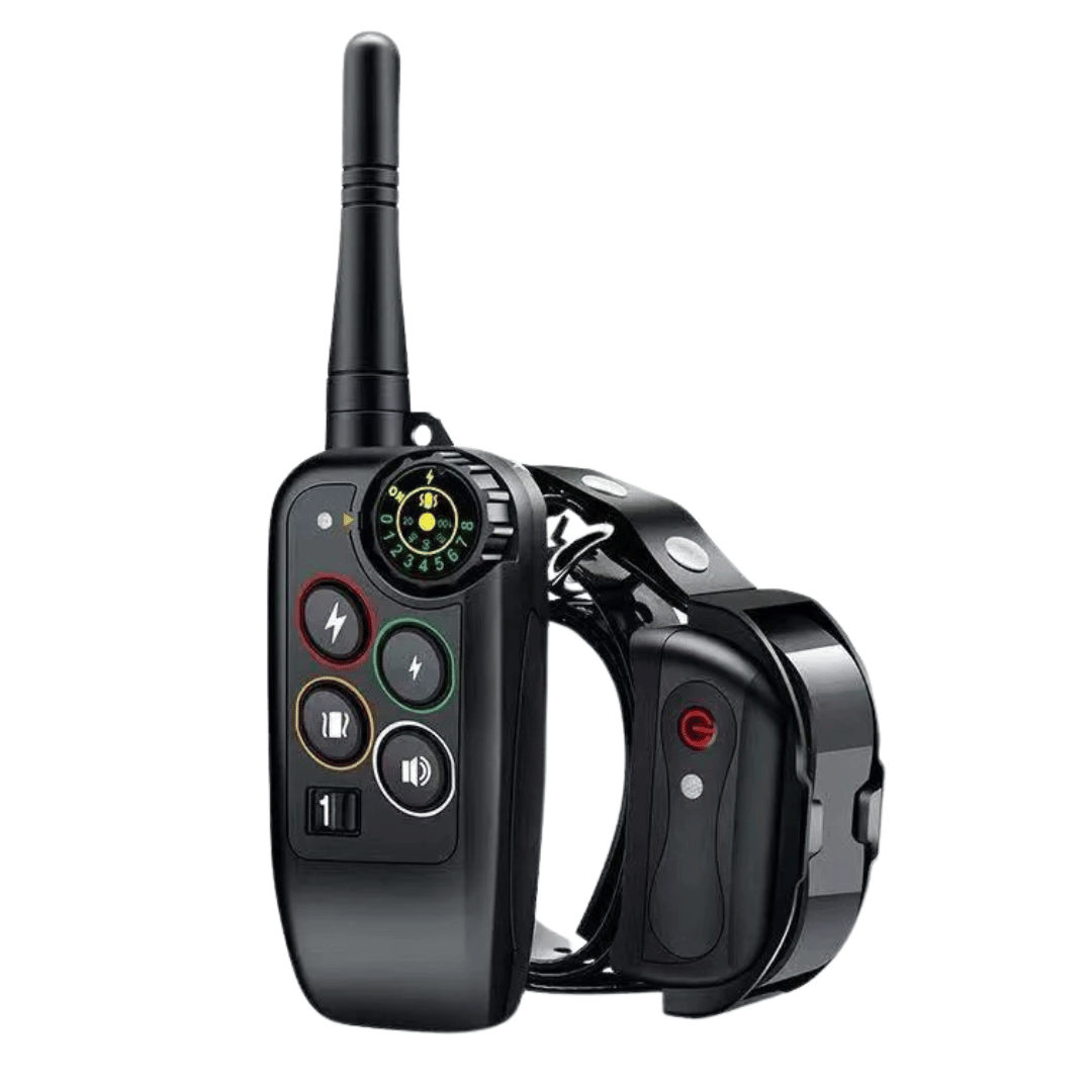 Accessoire de dressage pour chien : collier étanche 1000m et télécommande. Parfait pour l'entraînement extérieur.