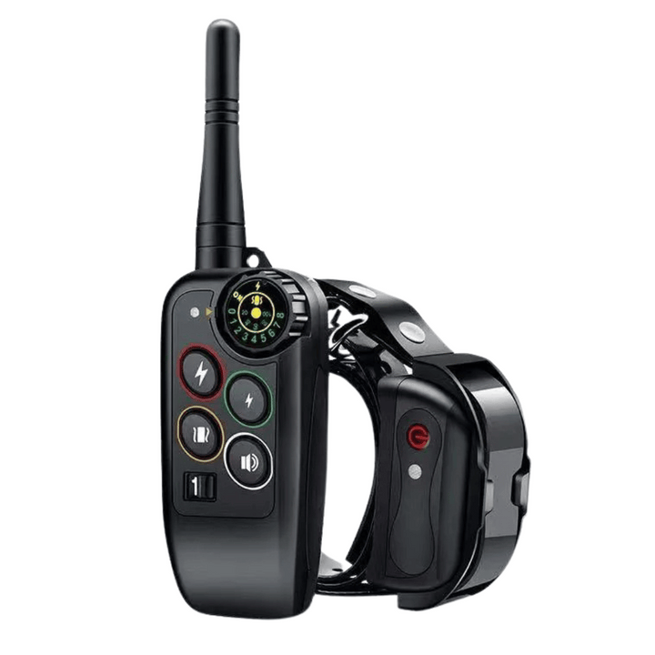 Accessoire de dressage pour chien : collier étanche 1000m et télécommande. Parfait pour l'entraînement extérieur.