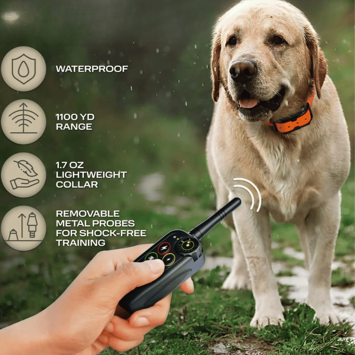 Collier de dressage étanche pour chien. Télécommande 1000m pour l'obéissance. Accessoire d'entraînement fiable.