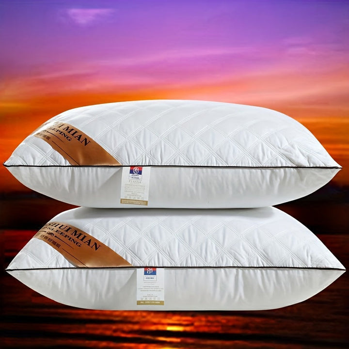 Oreiller premium lavable pour un confort toutes positions, soutien ergonomique de la tête et du cou. Idéal literie.