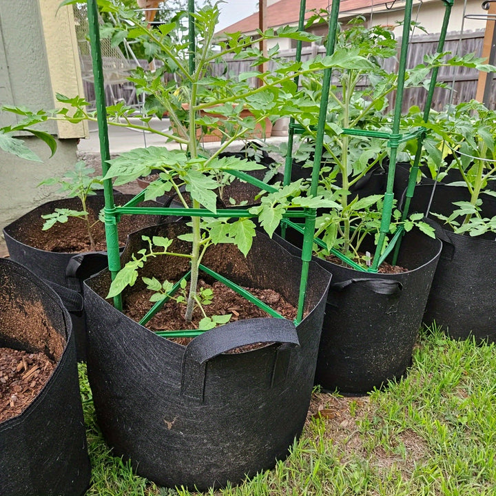 Jardinière TOMABOX avec support intégré pour tomates. Grande capacité, drainage efficace pour culture extérieur.