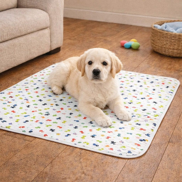 Tapis d'apprentissage réutilisable pour chiot, très absorbant et anti-fuite. Idéal pour propreté.