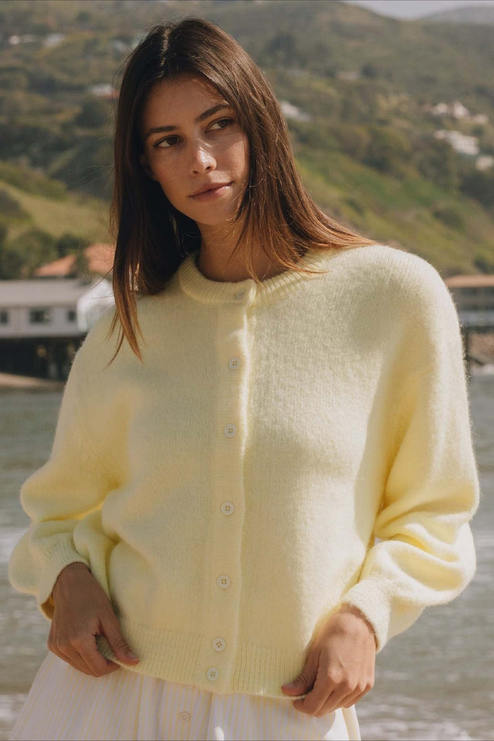 Cardigan tricoté pour femme, boutonnage frontal, manches longues, confort et mode pour toute occasion.