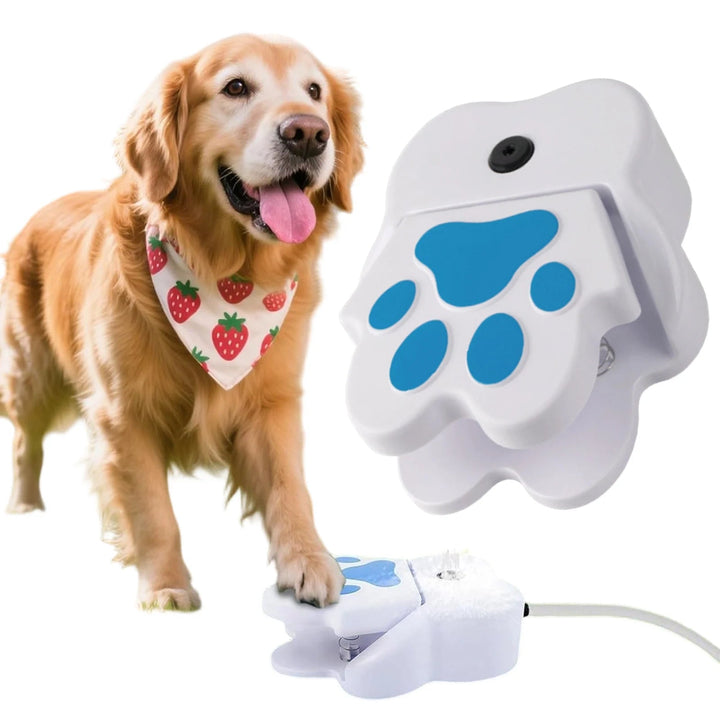 Jet d'eau frais jaillissant de la fontaine interactive pour chien, activée par une patte. Hydratation ludique.