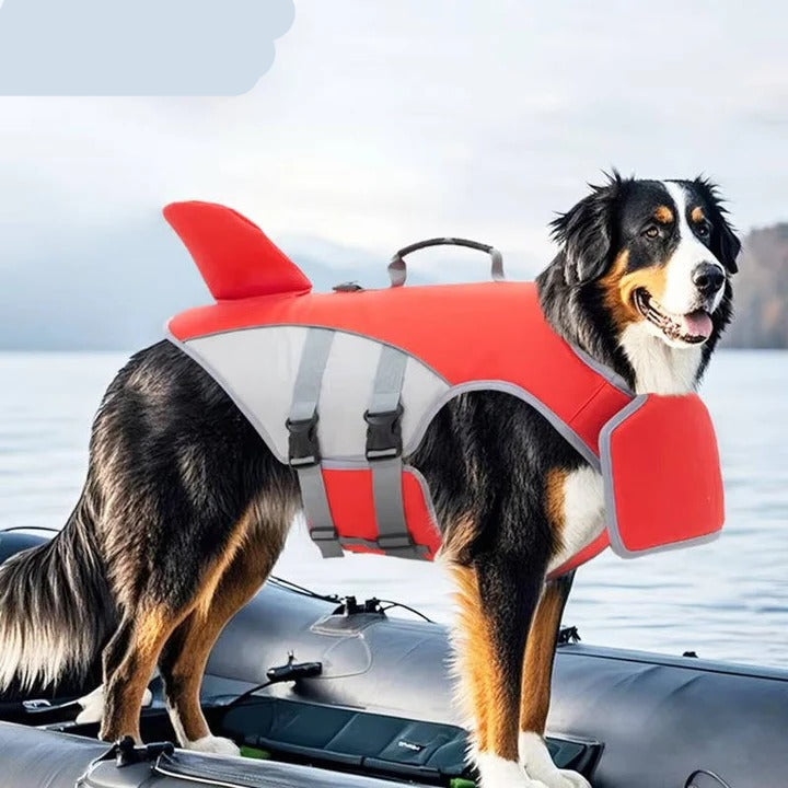 Gilet de sauvetage flottant ajustable pour chien. Sécurité aquatique maximale, haute visibilité pour la natation.
