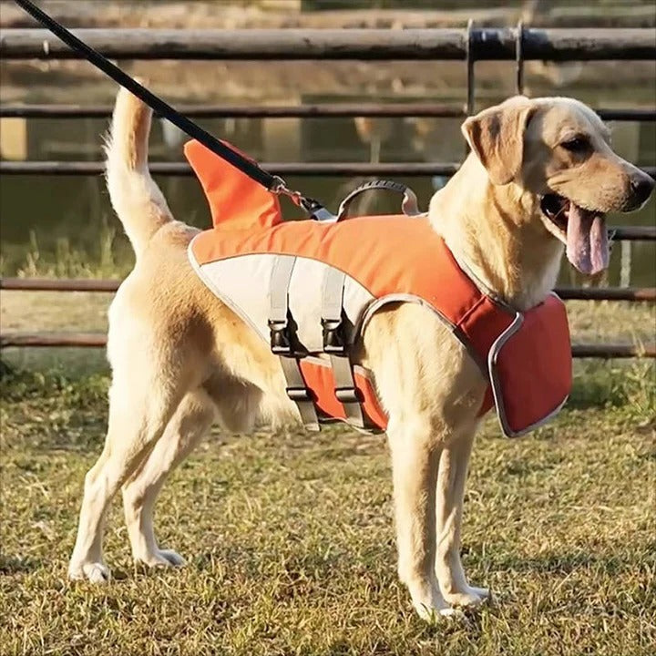 Gilet de sauvetage sécurisé et flottant pour chien. Idéal pour la natation, activités aquatiques et sécurité.