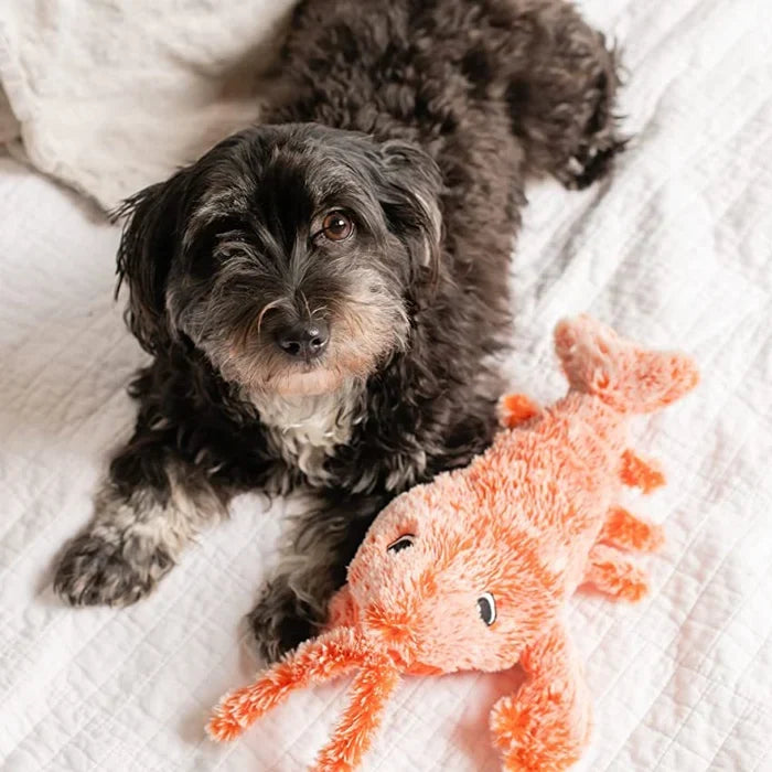 Jouet interactif PlayPal pour chien avec capteur de mouvement, stimulant et anti-ennui. Idéal pour divertir votre animal.