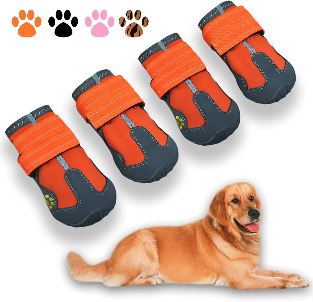 Protection des pattes canine avec bottes imperméables, idéales pour les chiens actifs en extérieur.