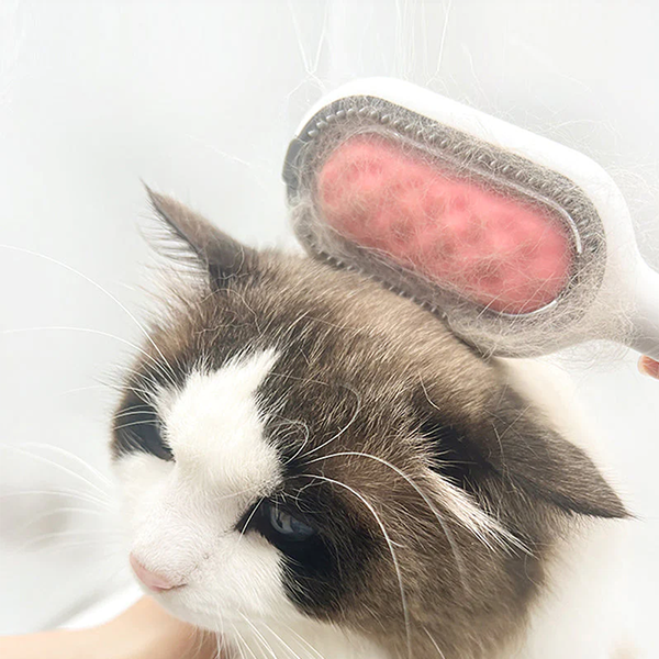 Brosse démêlante hydratante pour chat, retire les poils morts. Idéal pour le soin du pelage et le toilettage animal.