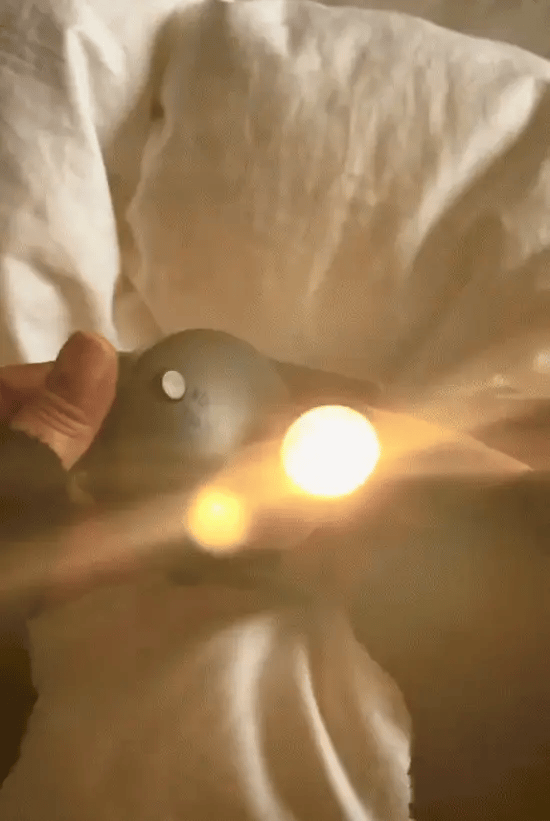 Éclairage d'ambiance doux de la lampe LED décorative sans fil, enrichissant l'atmosphère de votre intérieur avec style.