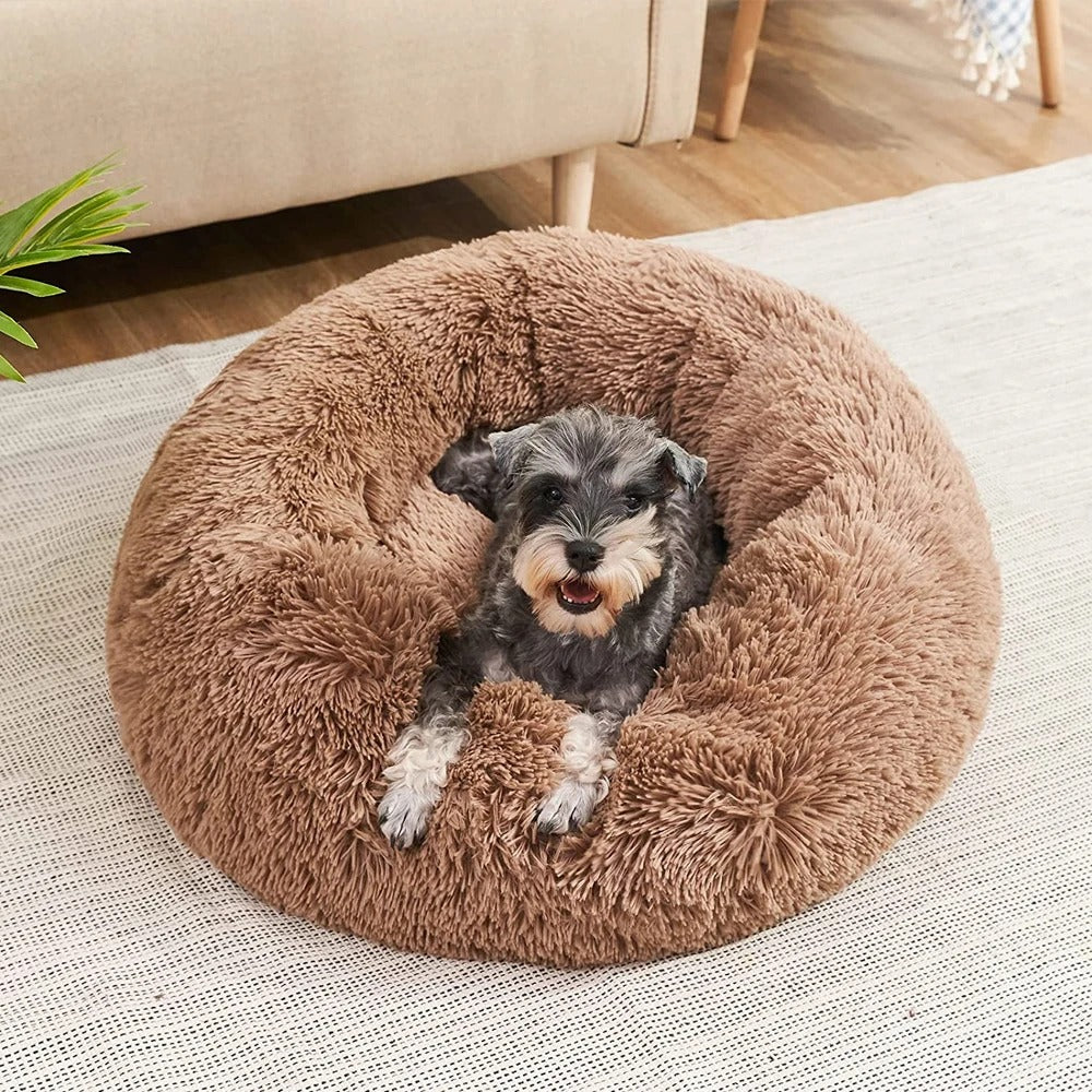 Lit pour chien confortable et résistant, soutien orthopédique, idéal pour le repos des articulations.