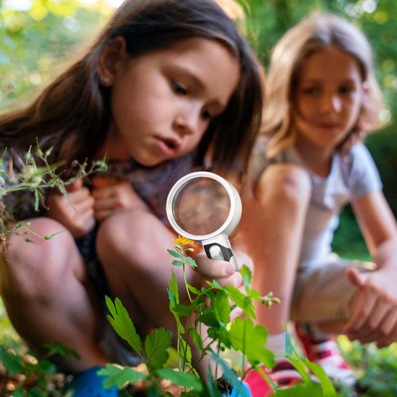 Loupe grossissante portable avec LED, aide visuelle optique pour lecture, hobbies et travaux de détail.