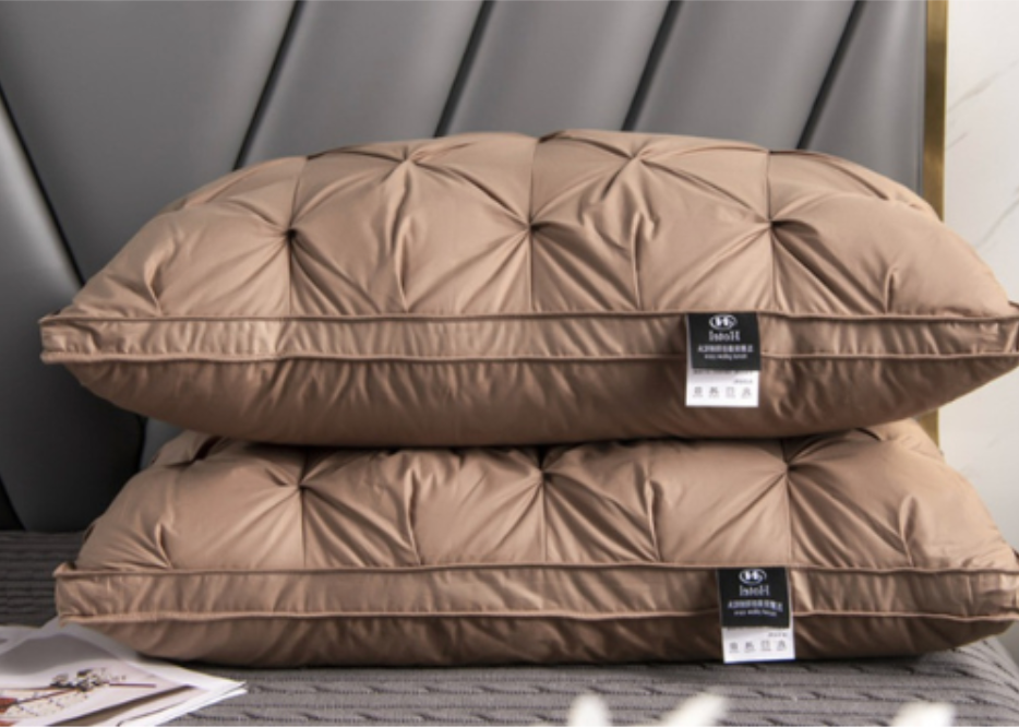 Coussin hypoallergénique en duvet d'oie, parfait pour une literie saine et un confort moelleux dans votre maison.