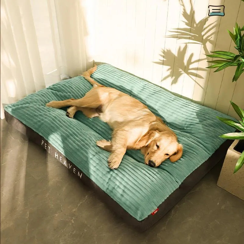 Lit pour chien orthopédique moelleux, offrant un confort supérieur et un soutien optimal pour les articulations.