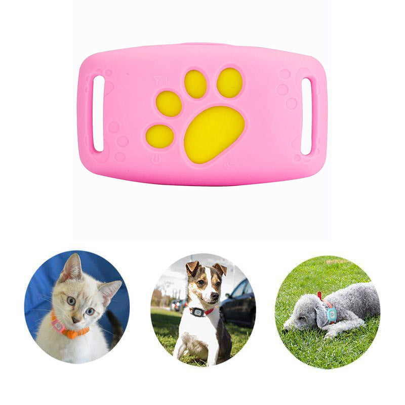 Collier GPS intelligent PawTrack pour chat, traceur étanche, localisateur sans abonnement, sécurité animale.
