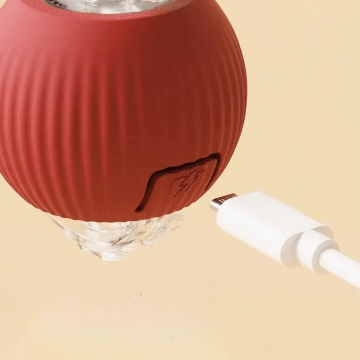 Accessoire jouet pour chien, balle de stimulation pour jeu solo ou partagé.
