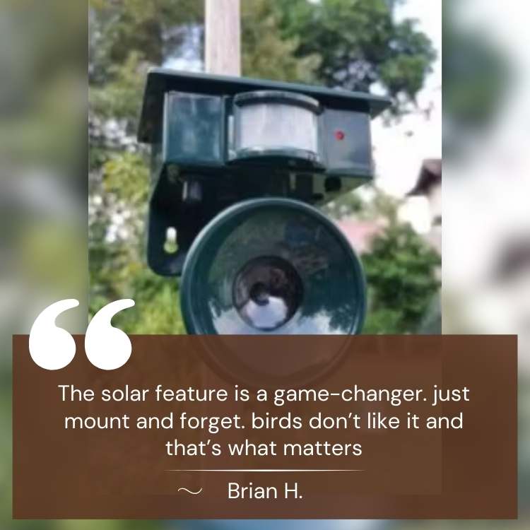 Répulsif solaire ultrasons pour oiseaux, posé dans un jardin. Protection écologique et dissuasion autonome en extérieur.