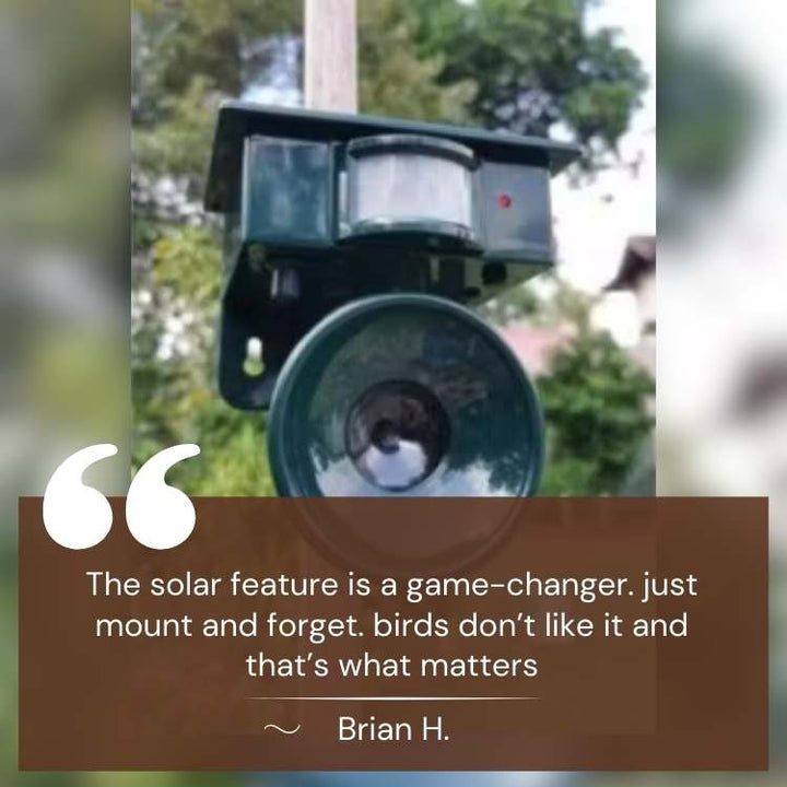 Répulsif solaire ultrasons pour oiseaux, posé dans un jardin. Protection écologique et dissuasion autonome en extérieur.