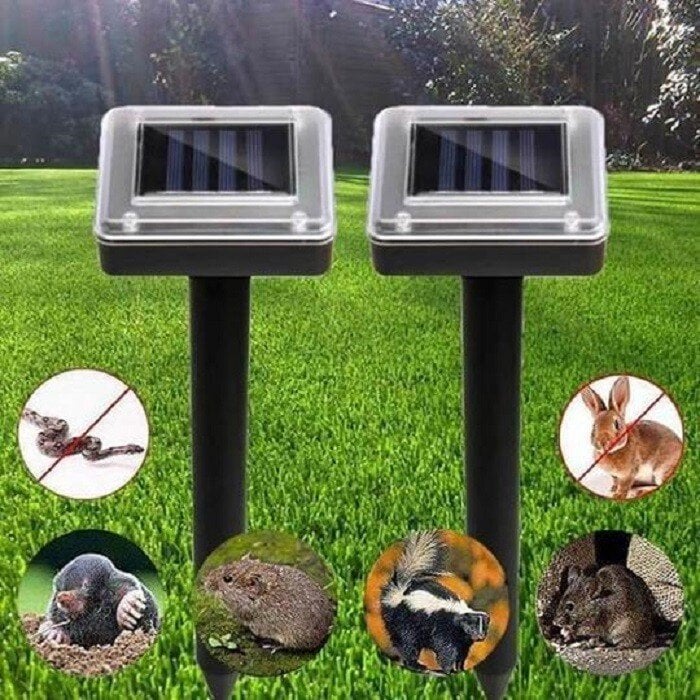 Appareil répulsif solaire écologique pour jardin, offrant une protection efficace contre les rongeurs et serpents.