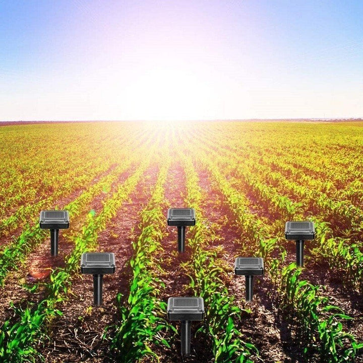 Dispositif répulsif solaire conçu pour éloigner efficacement les serpents et rongeurs comme les taupes du jardin.