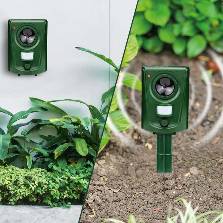Dispositif anti-chat ultrasonique automatique pour jardin, éloignant les chats des zones extérieures.