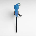Perroquet bleu