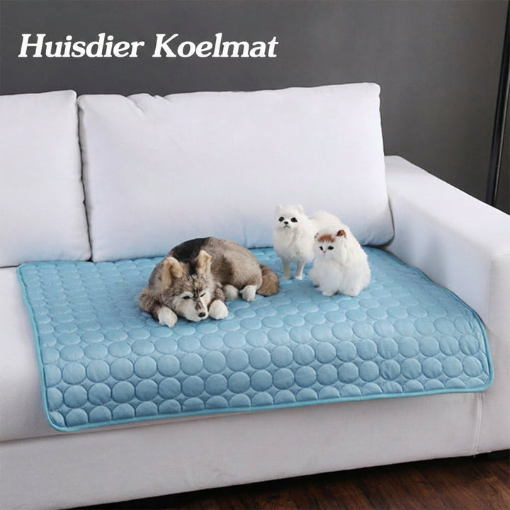 Tapis rafraîchissant portable en soie glacée pour animaux, offrant une fraîcheur instantanée aux chiens et chats.