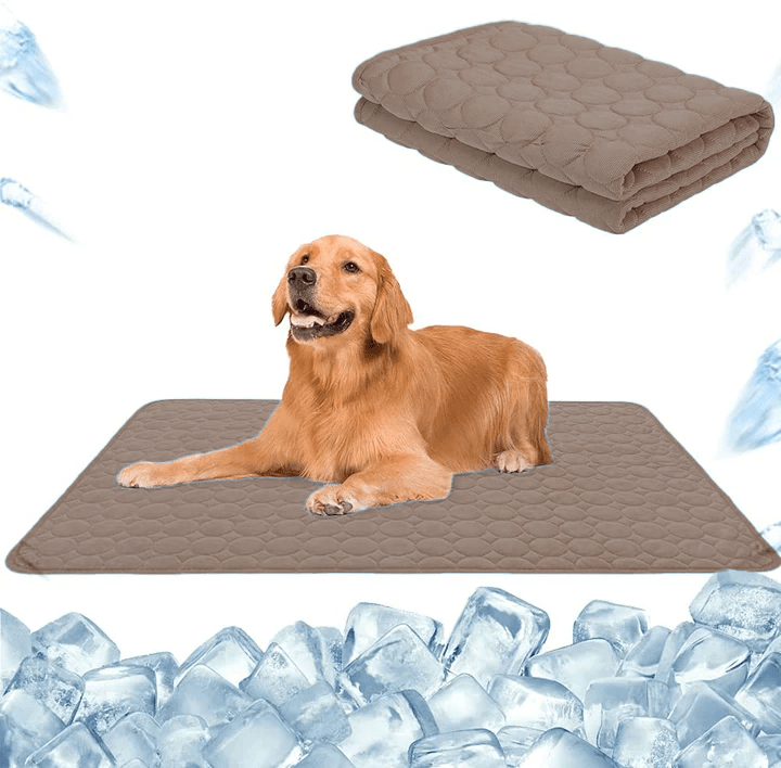Chien heureux se reposant sur un tapis rafraîchissant bleu, appréciant la fraîcheur du coussin gel pendant la canicule.