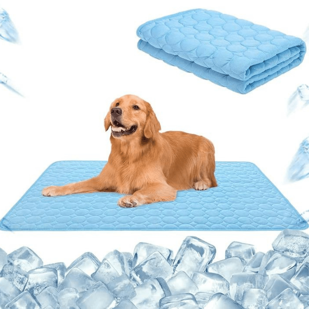 Tapis de confort rafraîchissant pour chat et chien, indispensable pour le bien-être des animaux de compagnie l'été.