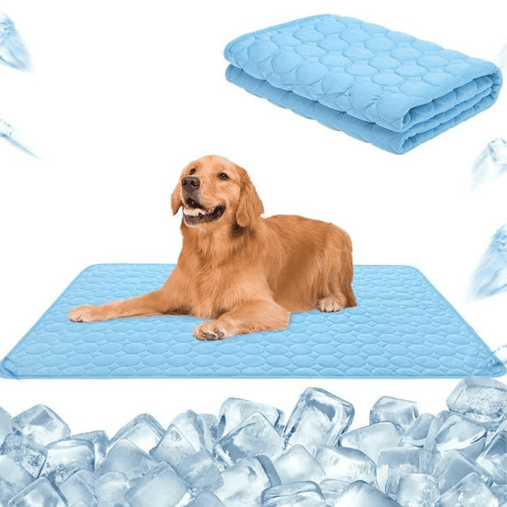 Tapis de confort rafraîchissant pour chat et chien, indispensable pour le bien-être des animaux de compagnie l'été.