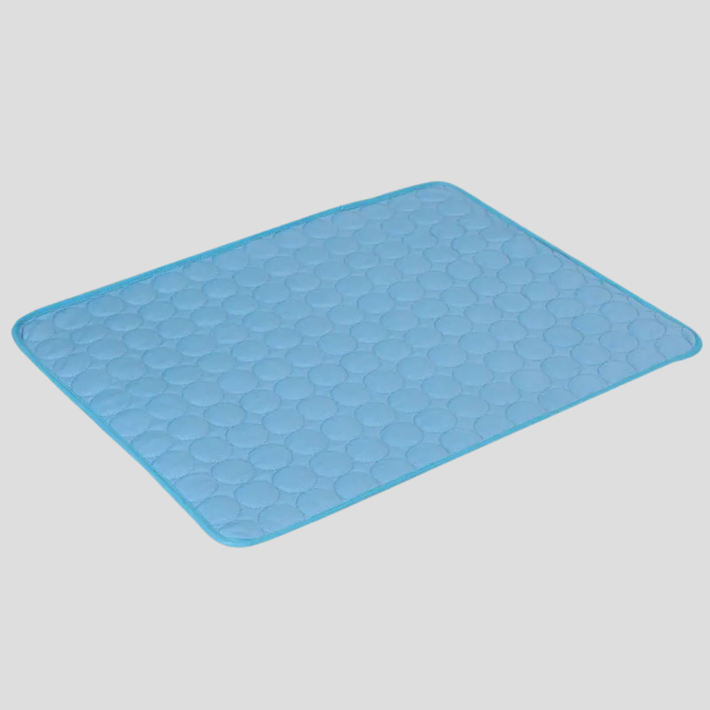 Tapis de refroidissement estival pour chiots et chatons, assurant une fraîcheur constante et un bien-être optimal.