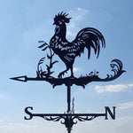 Coq